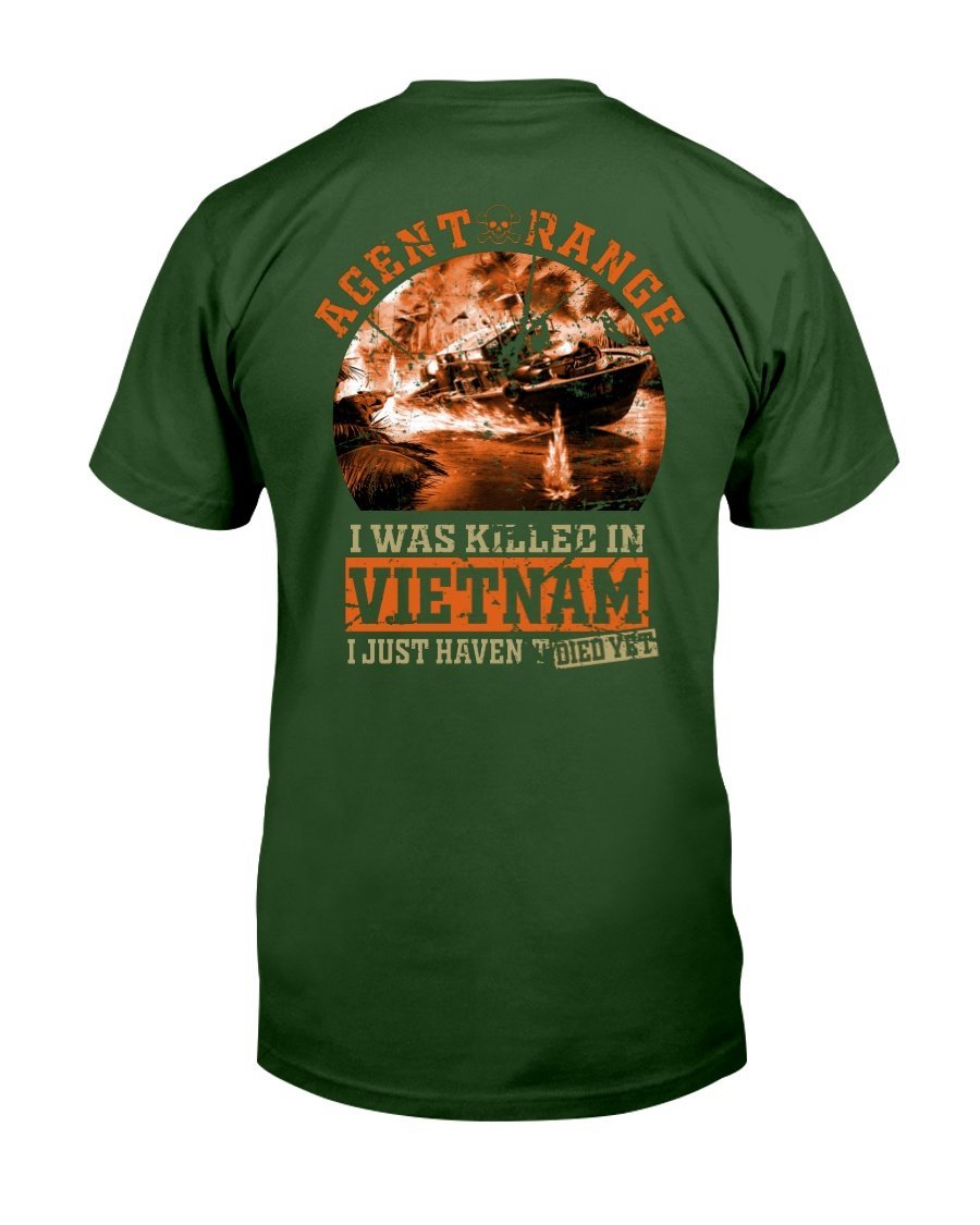 Vietnam Veteran - I Was Killed In Vietnam I Just Havent Died Yet T-Shirt 1&nbsp;