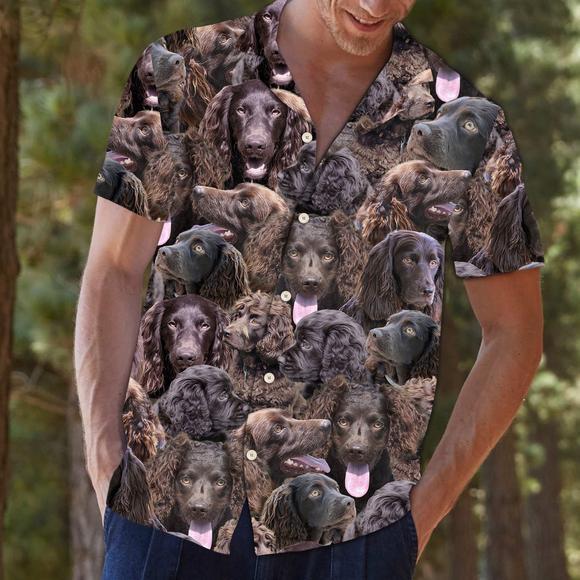 Boykin Spaniel Hawaiian Shirt Pre13453 1 » Cool Gifts for You - Mfamilygift Boykin Spaniel Hawaiian Shirt Pre13453 1
