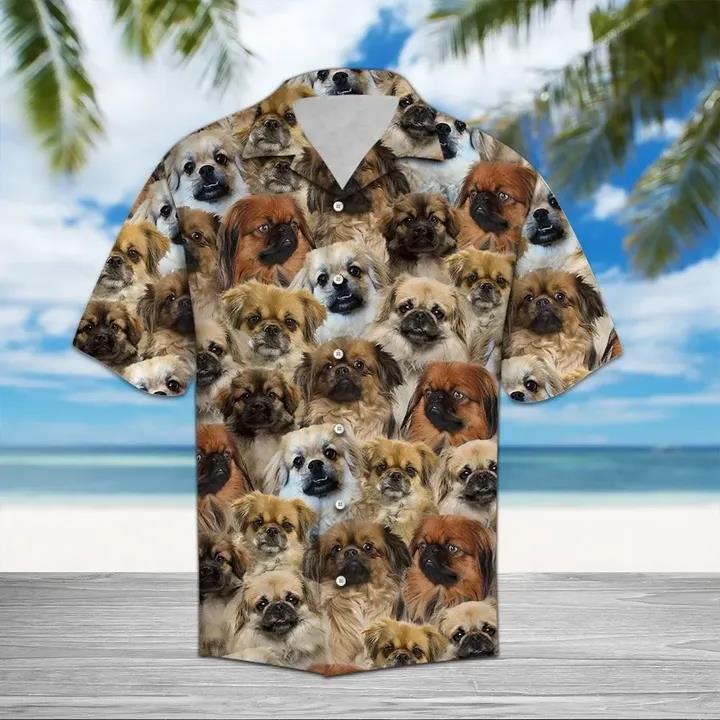 Tibetan Spaniel Tan Best Hawaiian Shirt Pre10399