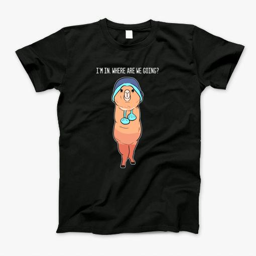 Alpaca Ready Outgoing Person Gift T-Shirt Alpaca Ready Outgoing Person Gift T-Shirt