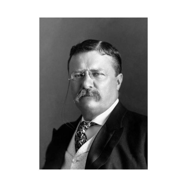 Teddy Roosevelt T-Shirt 1 » Cool Gifts for You - Mfamilygift Teddy Roosevelt T-Shirt 1