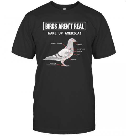 Birds Arent Real Gift