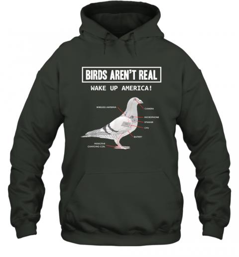 Birds Arent Real Gift 2 » Cool Gifts for You - Mfamilygift Birds Arent Real Gift 2