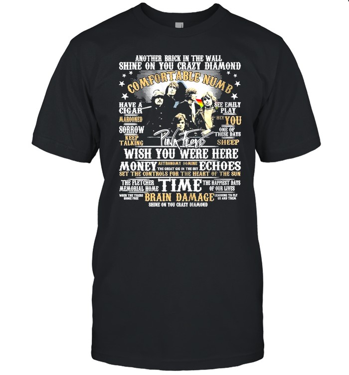 Pink Floyd Wish You Were Here Money Echoes Shirt