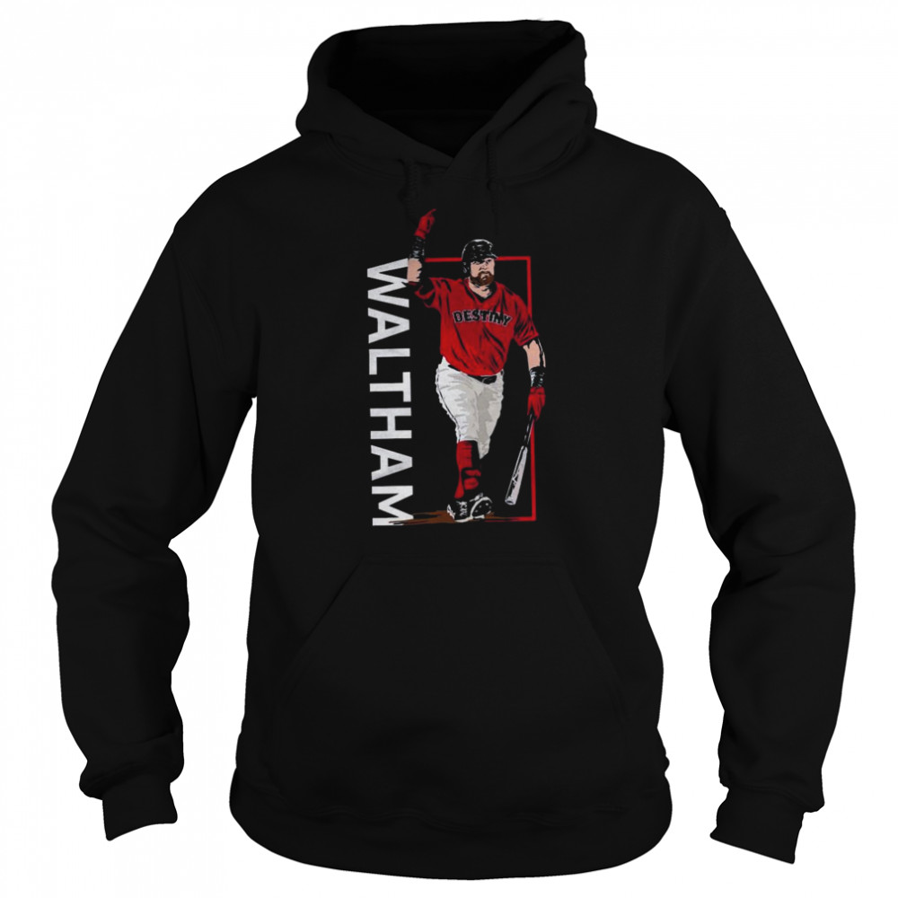 Waltham Destiny Atlanta Braves Baseball Shirt 4 » Cool Gifts for You - Mfamilygift Waltham Destiny Atlanta Braves Baseball Shirt 4