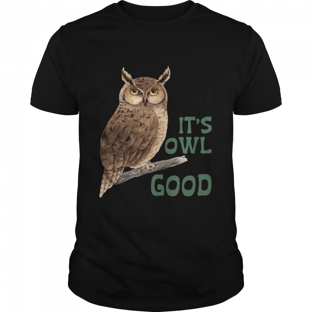Eulen It’S Owl Good Eule Shirt