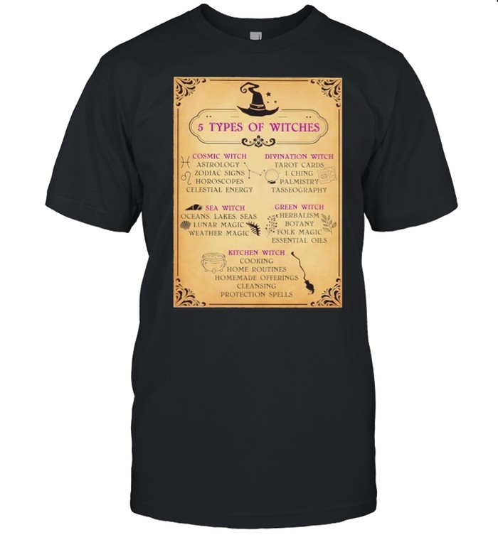 5 Types Of Witches Cosmic Witch Divination Witch T-Shirt