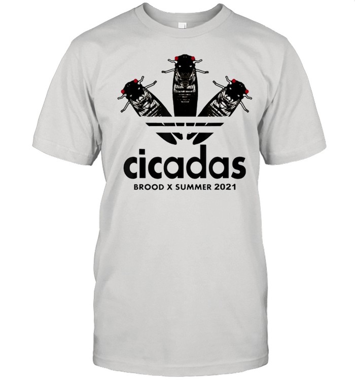 Brood X Cicada Summer Magicicada 2021 T-Shirt Brood X Cicada Summer Magicicada 2021 T-Shirt