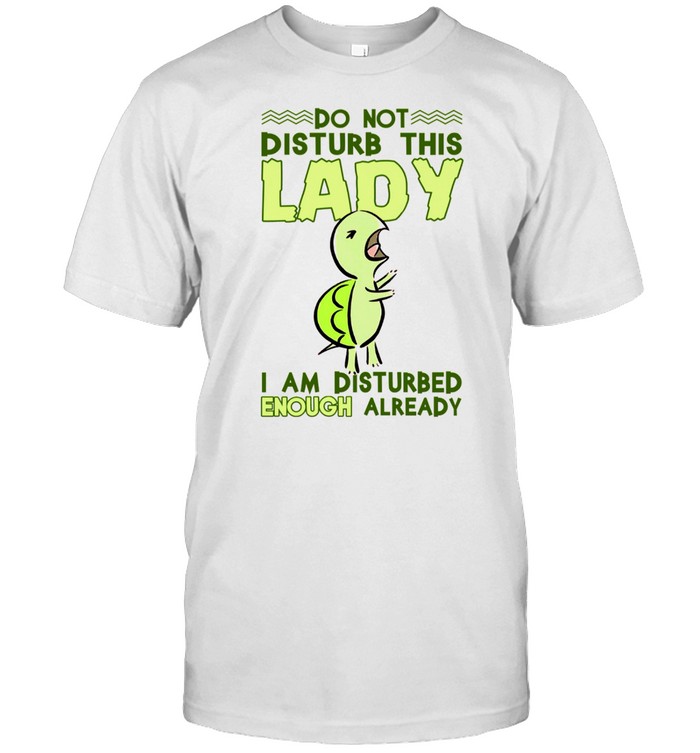 Do Not Disturb This I Am Disturbed Enough Already T-Shirt