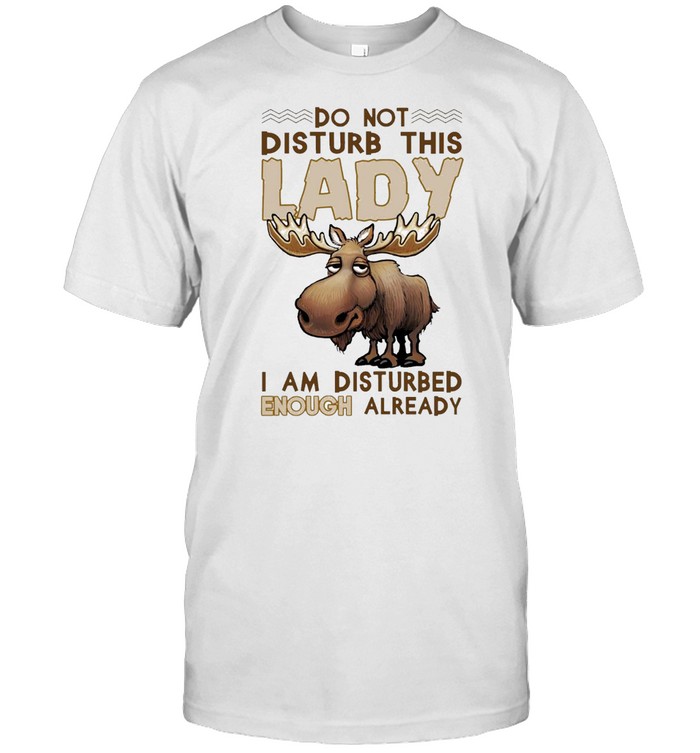 Do Not Disturb This Lady I Am Disturbed Enough Already T-Shirt