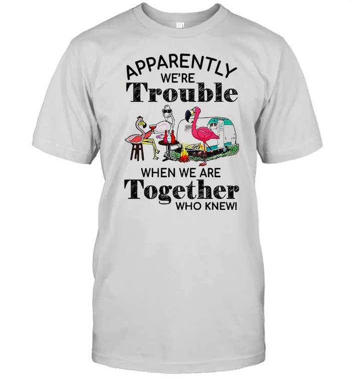 Flamingos Apparently Were Trouble When Were Together Who Knew T-Shirt