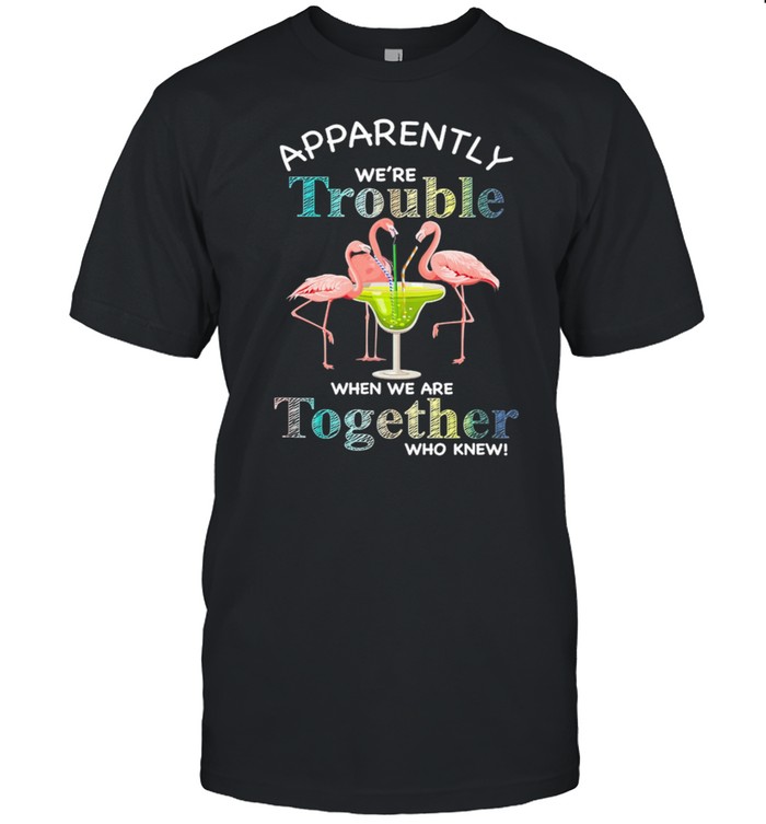 Flamingos Margarita Apparently Were Trouble When We Are Together Who Knew T-Shirt