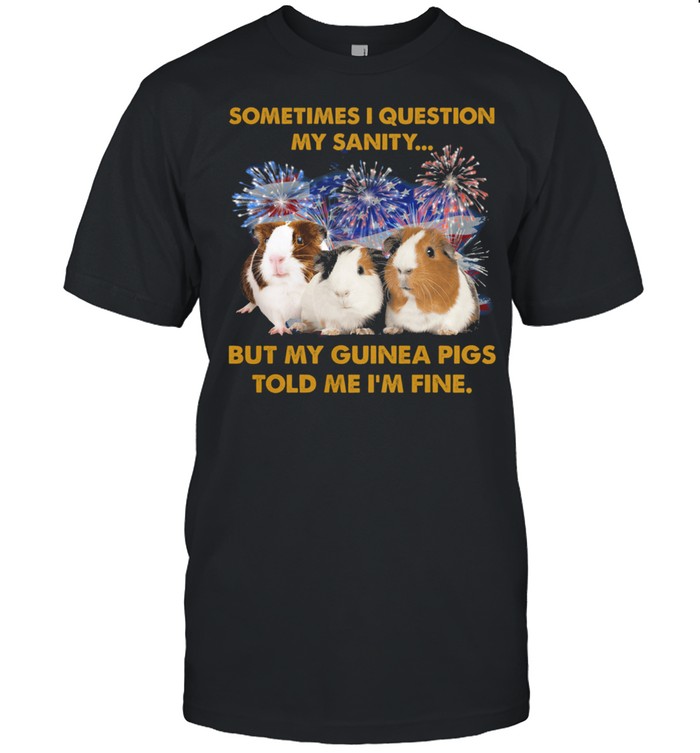 Sometimes I Question My Sanity But My Guinea Pigs Told Me Im Fine 4Th Of July T-Shirt