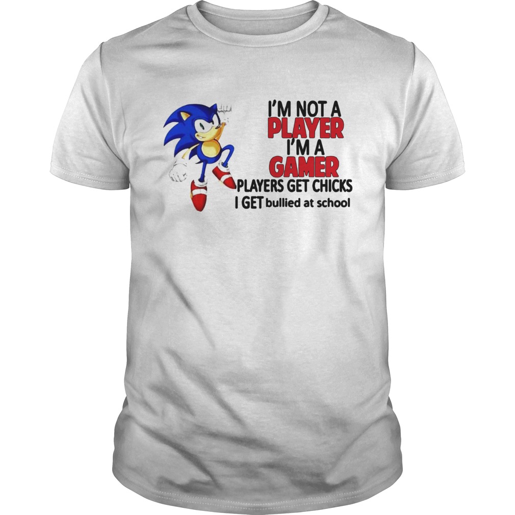 Sonic Im Not A Player Im A Gamer Players Get Chicks I Get Bullied At School T-Shirt
