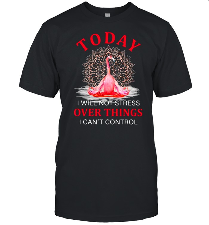 Today I Will Not Stress Over Things I Can’T Control Flamingo T-Shirt Today I Will Not Stress Over Things I Can’T Control Flamingo T-Shirt