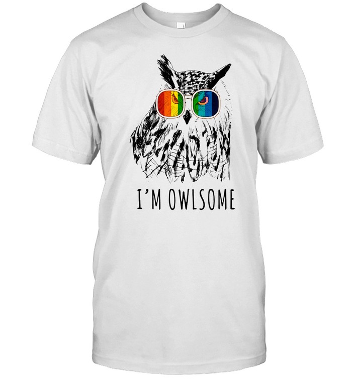 I Am Owlsome Owl With Color Glass T-Shirt
