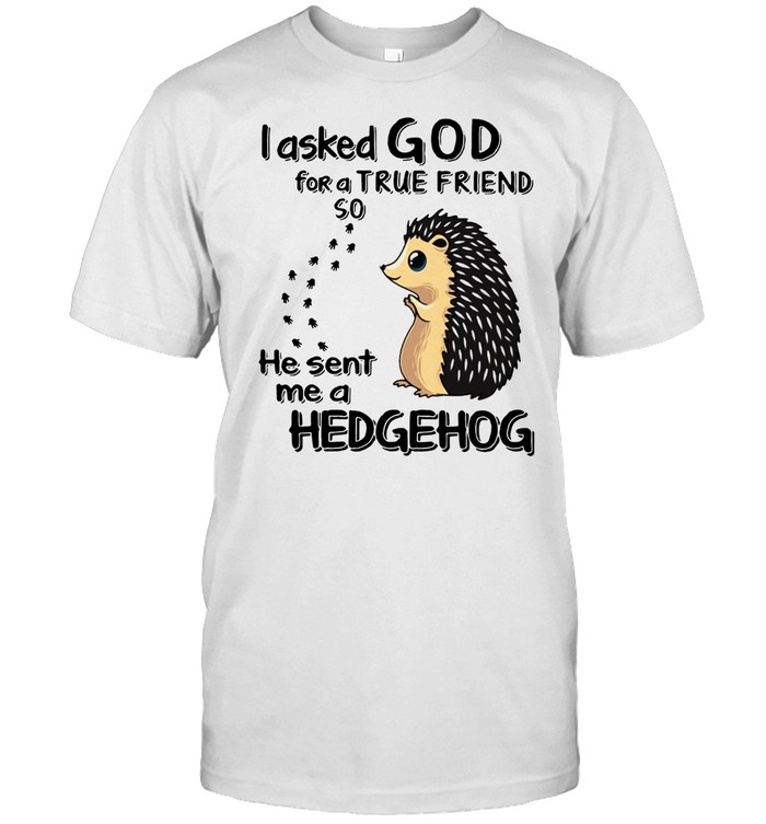 I Asked God For A True Friend Soo He Sent Me A Hedgehog T-Shirt