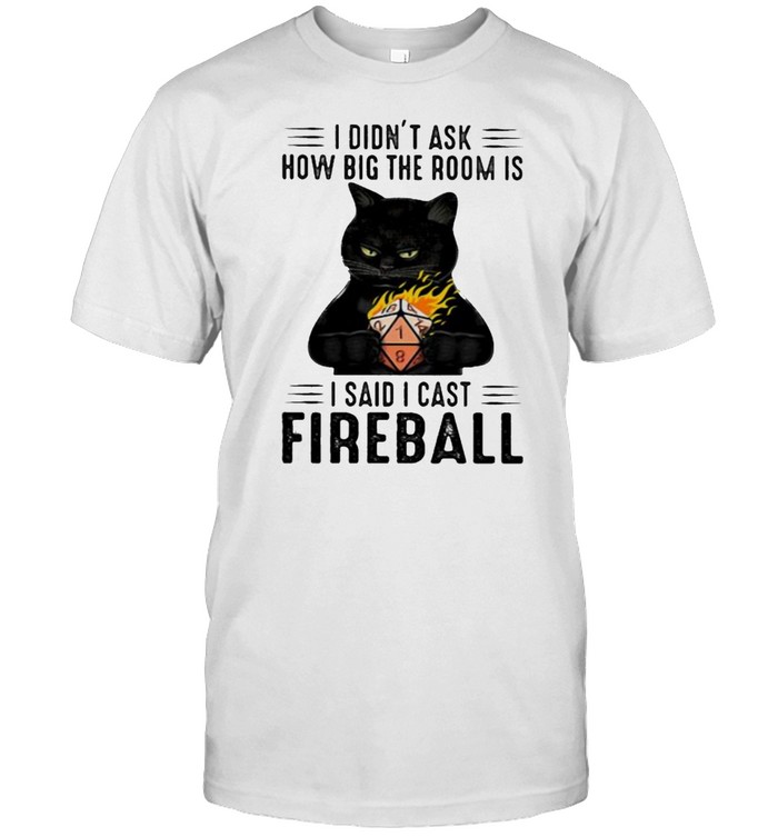 I Didnt Ask How Big The Room Is I Said I Cast Fireball Cat T-Shirt