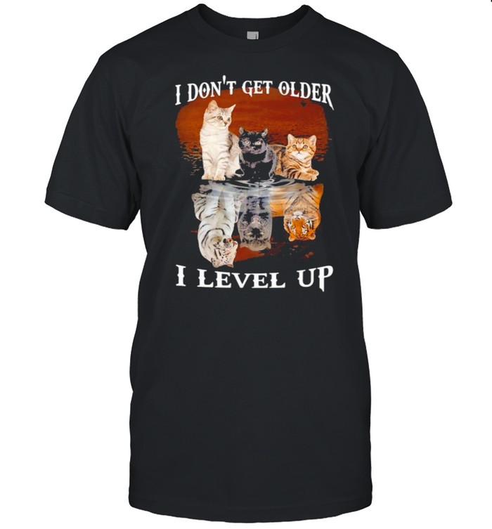 I Dont Get Older I Level Up Cat T-Shirt I Dont Get Older I Level Up Cat T-Shirt