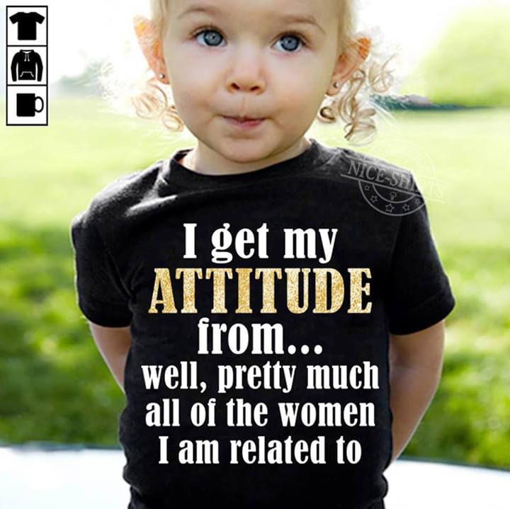 I Get My Attitude From Well Pretty Much All Of The Women I Am Related To T-Shirt