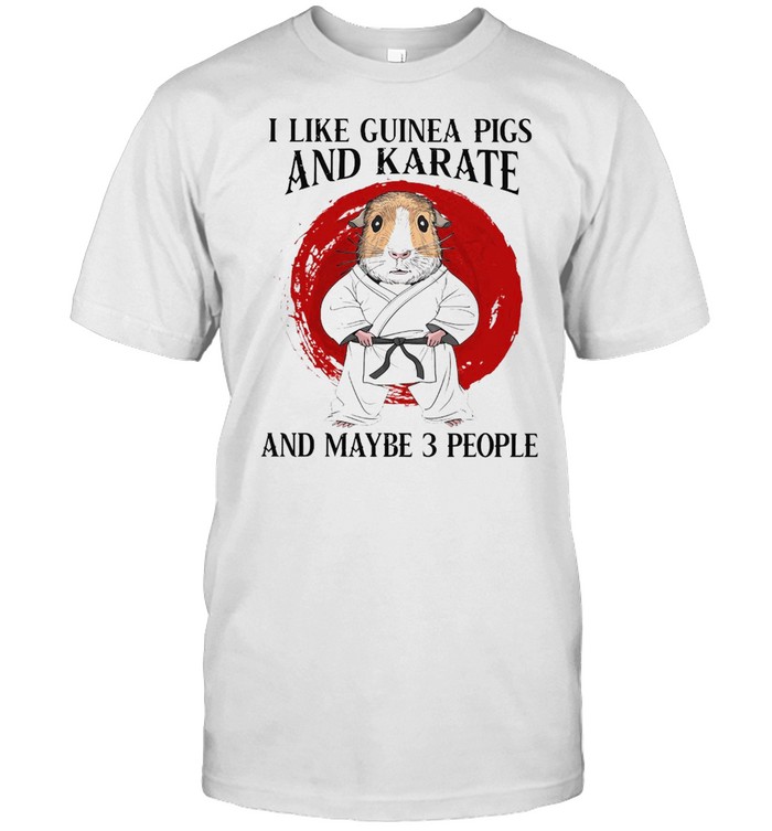 I Like Guinea Pigs And Karate And Maybe 3 People T-Shirt