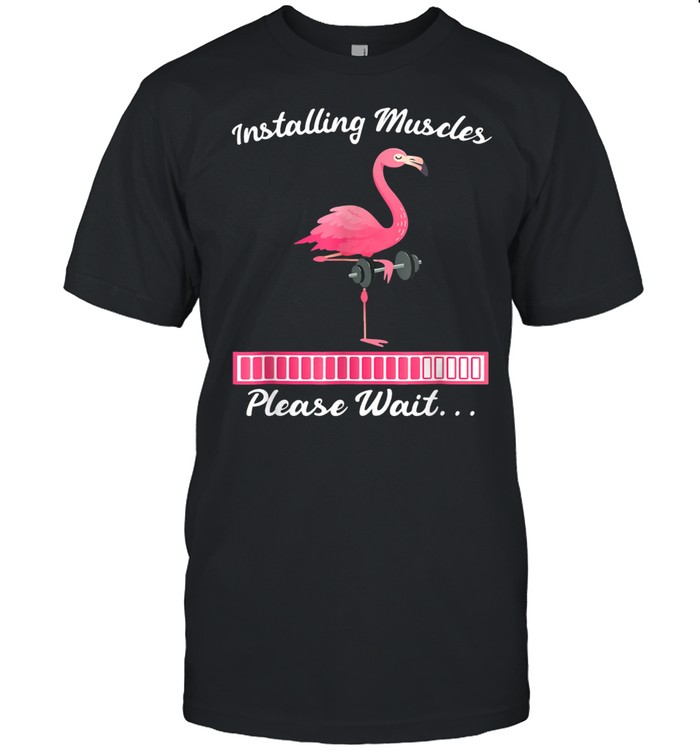 Installing Muscles Flamingo T-Shirt